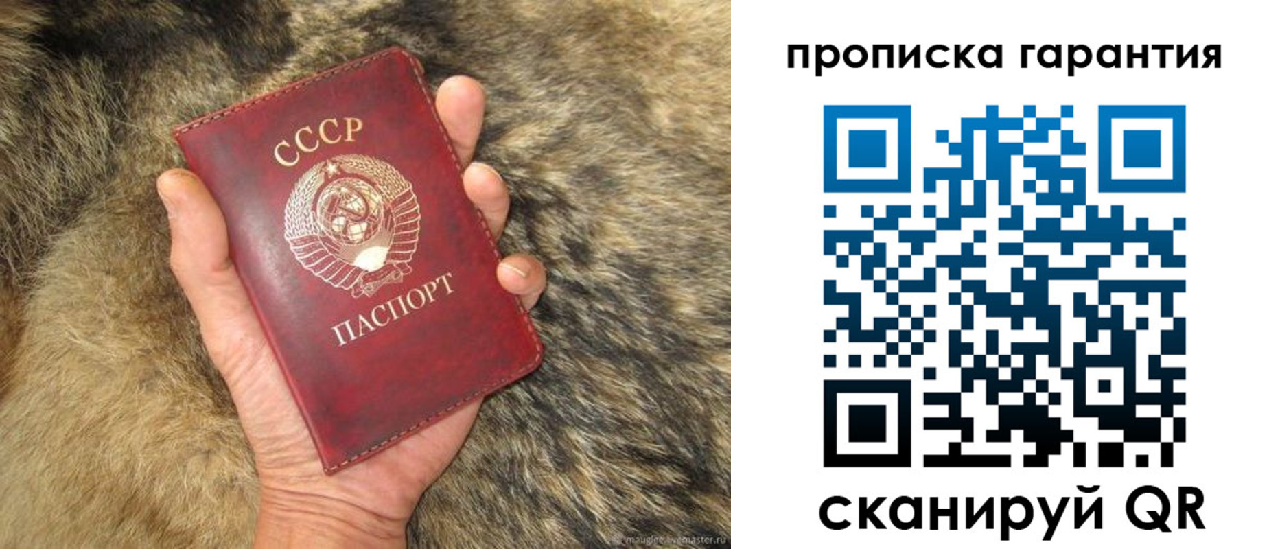 прописка паспорт в Старом Осколе